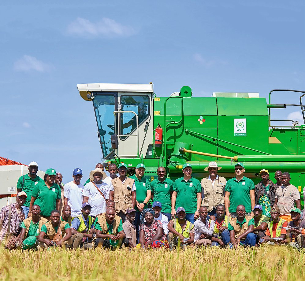 OCP s’investit en particulier dans la culture du riz, priorité nationale. DR