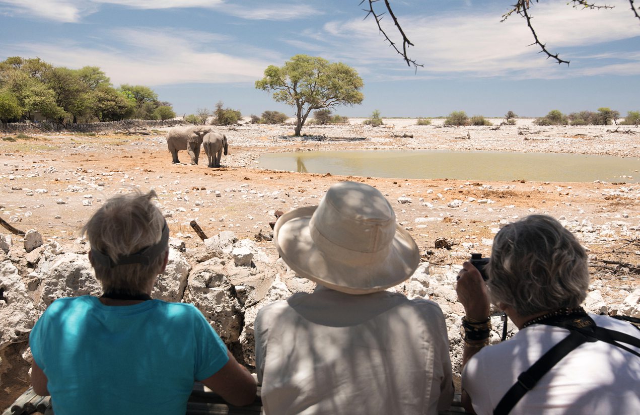 Observation et prise de vue d’éléphants dans le parc national d’Etosha, haut lieu du tourisme.CHAD CASE / ALAMY STOCK PHOTO