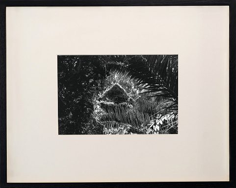 Hortus XIV. JELLEL GASTELI