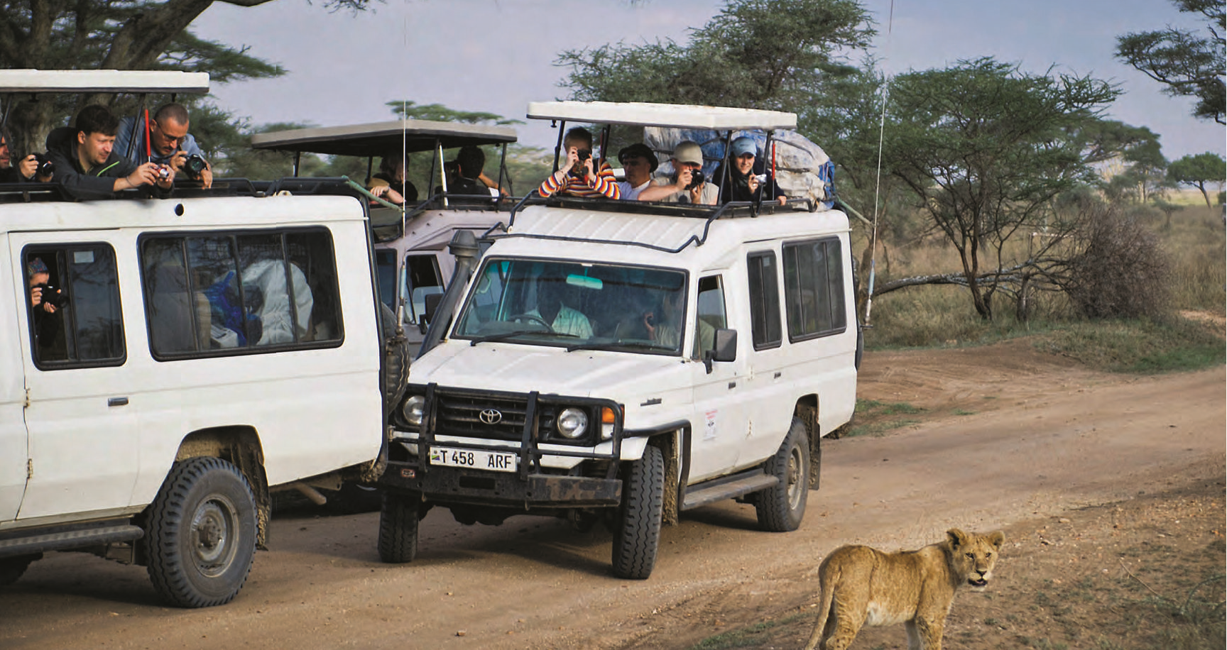 Le parc national du Serengeti accueille de nombreux voyageurs en quête de sensations fortes au cours d’un safari. SVEN TORFINN/N.Y.T./REDUX/RÉA