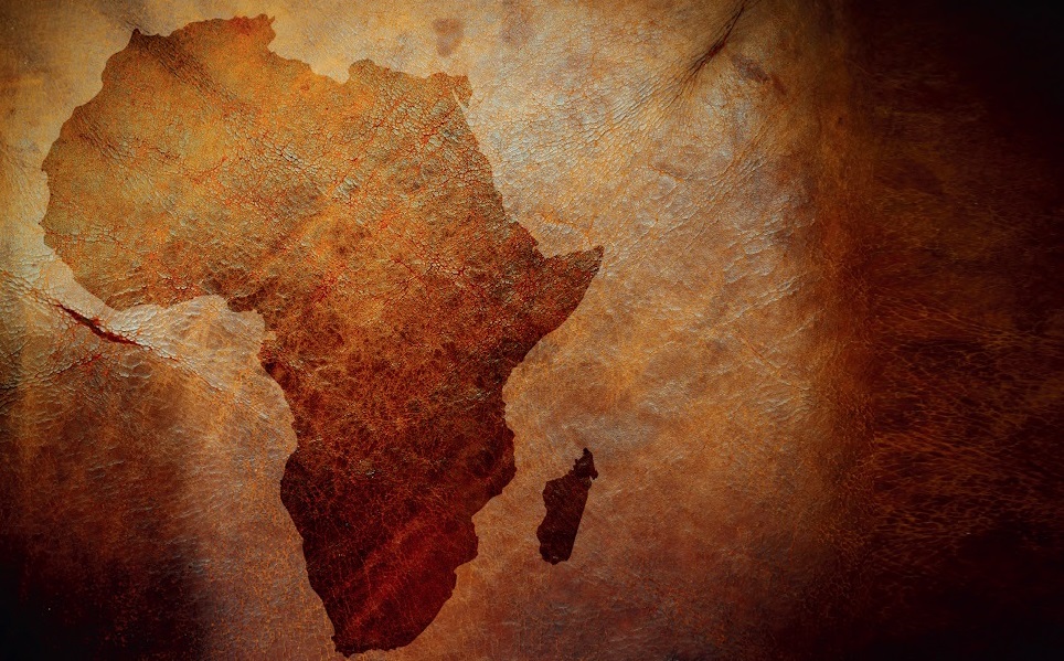 L'Afrique est incontournable .SHUTTERSTOCK