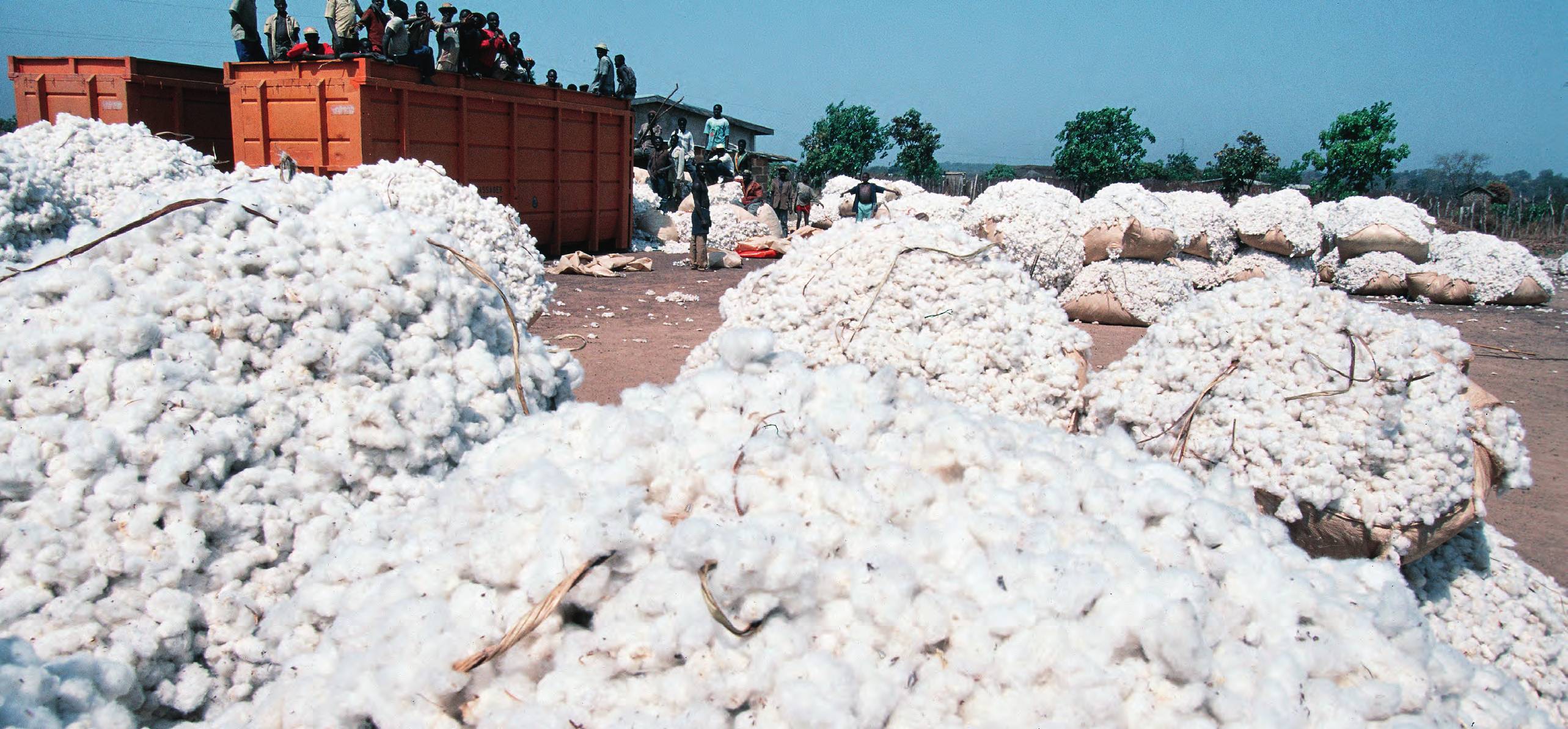 Baling cotton in Korhogo. There are 132,000 producers in the sector.