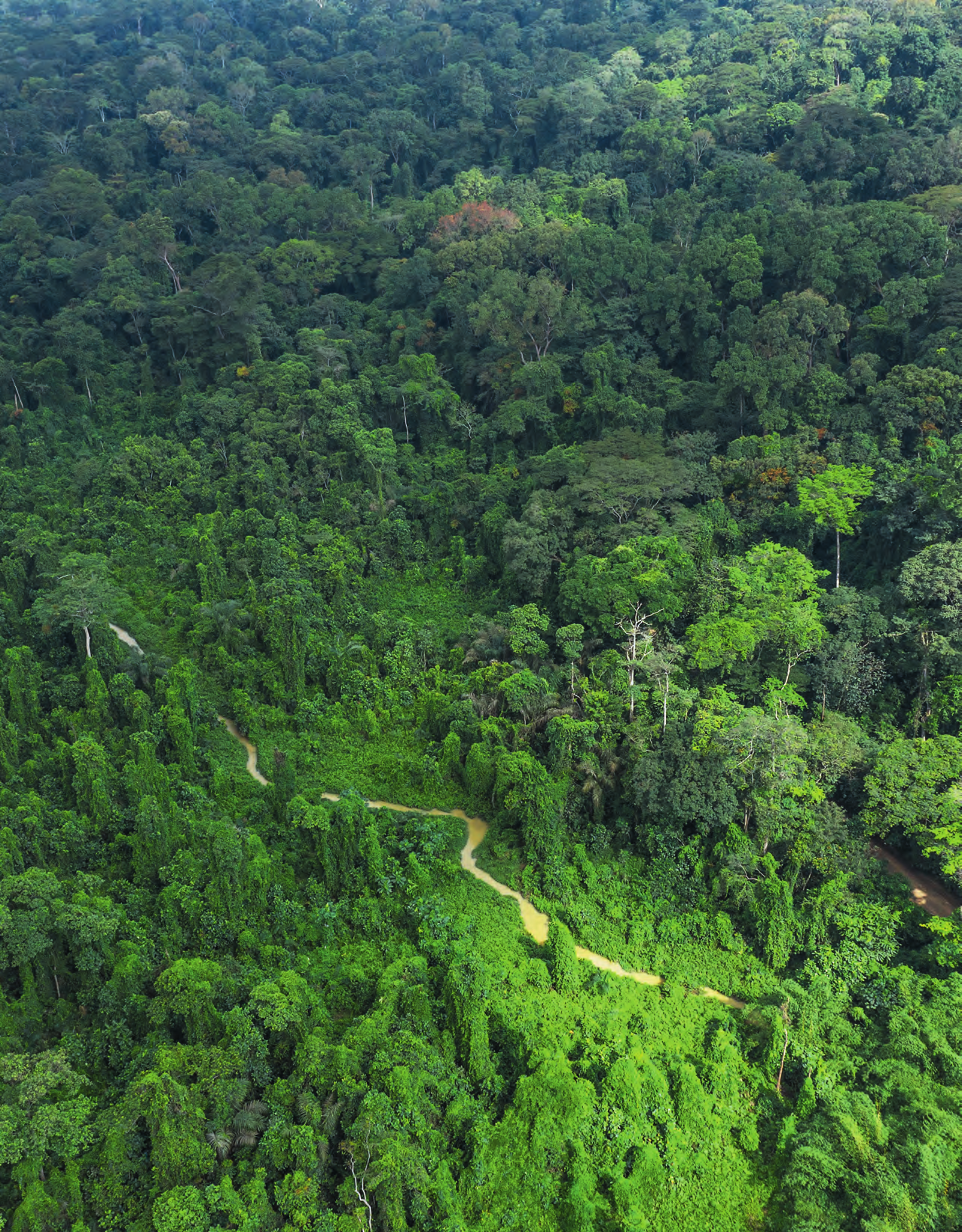 The Banco National Park is the green lung of the economic  capital.