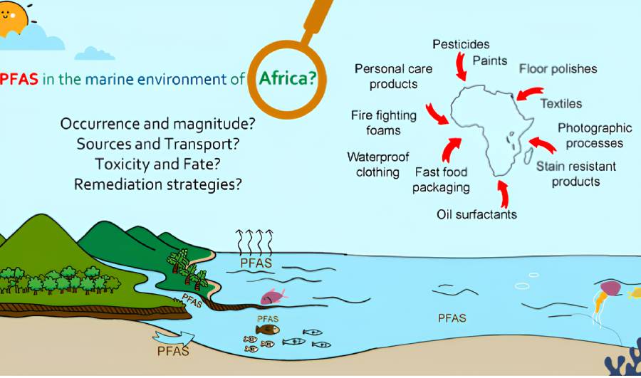 Poly- and per-fluoroalkyl substances (PFAS) in the African environments: progress, challenges, and future perspectives”, December 2024, Environmental Science and Pollution Research. DR