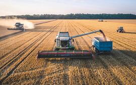 La région de Krasnodar est le grenier à blé de la Russie. SHUTTERSTOCK