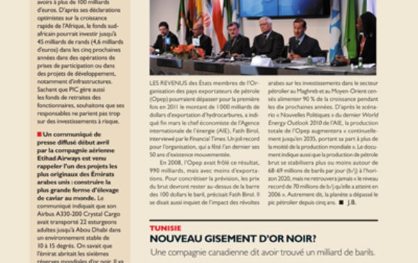 TUNISIE nouveau gisement d'or noir ?