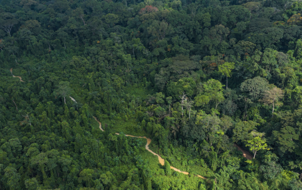 Le parc national du Banco