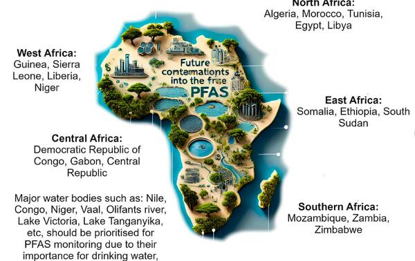 Schéma, “Poly- and per-fluoroalkyl substances (PFAS) in the African environments: progress, challenges, and future perspectives”, Decembre 2024, Environmental Science and Pollution Research. DR