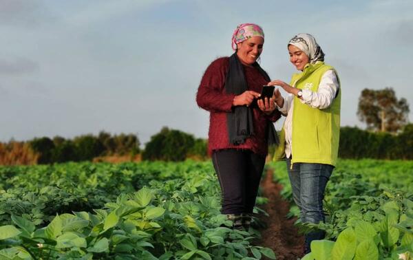 Des femmes rurales résilientes et en action Les équipes sont installées au plus près des agricultrices afin de coconstruire des solutions adaptées. DR