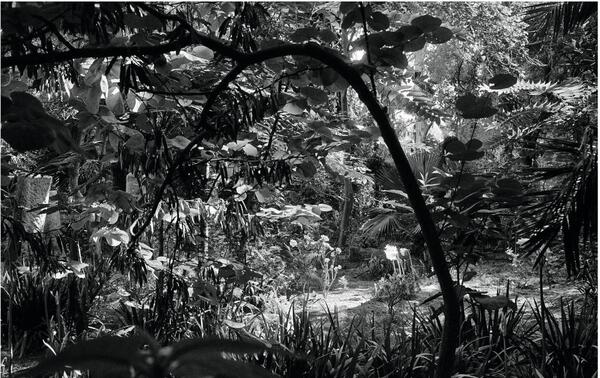 Le luxuriant jardin Henson, à Hammamet. JELLEL GASTELI