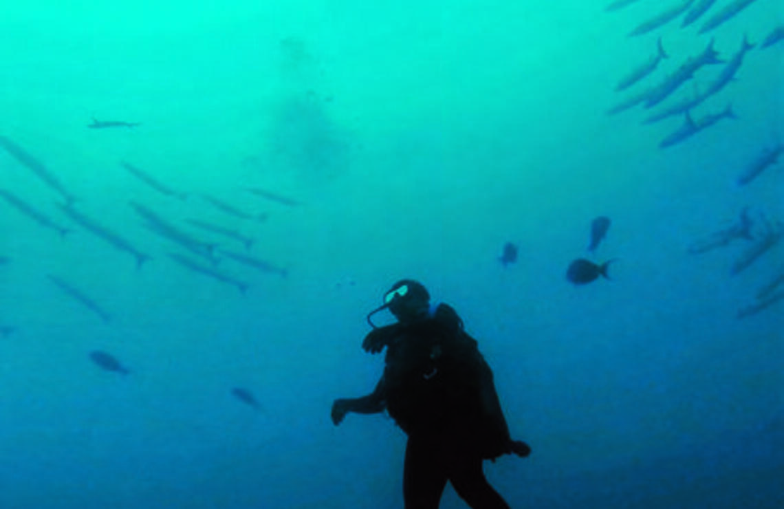 Les amateurs de plongée sont comblés par les fonds marins, réputés pour leur richesse et leur beauté. DR