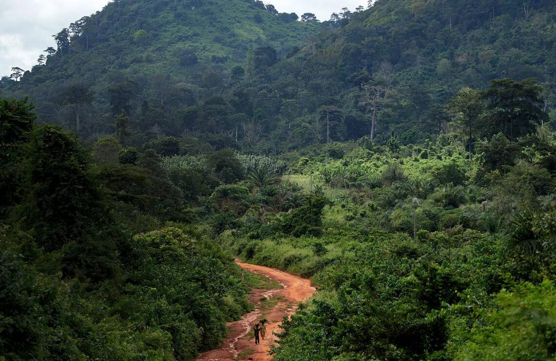 L’ ombre du changement climatique Le parc national du mont Péko, d’une superficie de 34000 hectares, est situé dans la région de Guémon. PASCAL MAITRE