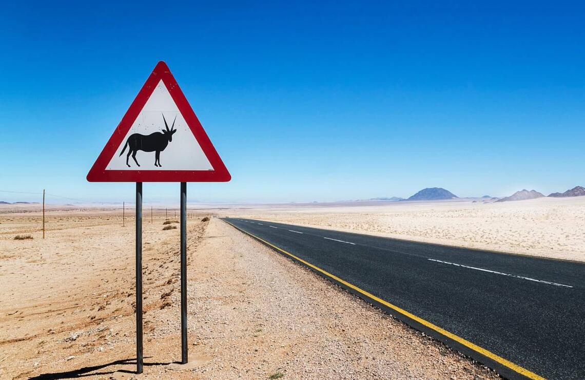 Février 2017. En bord de route, un panneau signale le passage fréquent d’animaux sauvages. ANN AND STEVE TOON / ALAMY STOCK PHOTO