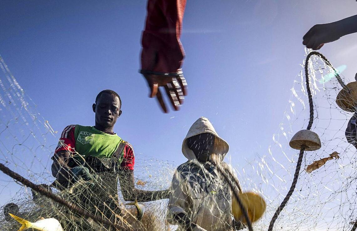 La mer, en danger d’extinction Des pêcheurs sénégalais récupèrent le poisson sur leur pirogue. SVEN TORFINN/PANOS-REA