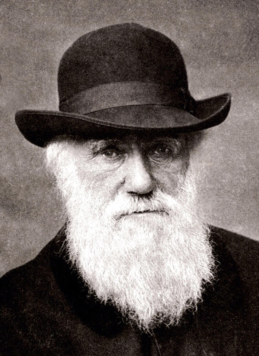 Le naturaliste britannique Charles Darwin (1809-1882). DR