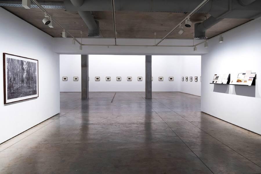 Vue de l’exposition à la Selma Feriani Gallery, dans la capitale tunisienne.BILEL HT