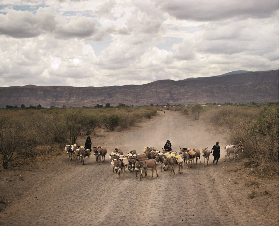 Le parc national du Serengeti, au nord du pays, inscrit au patrimoine mondial de l’UNESCO. SVEN TORFINN/PANOS/RÉA