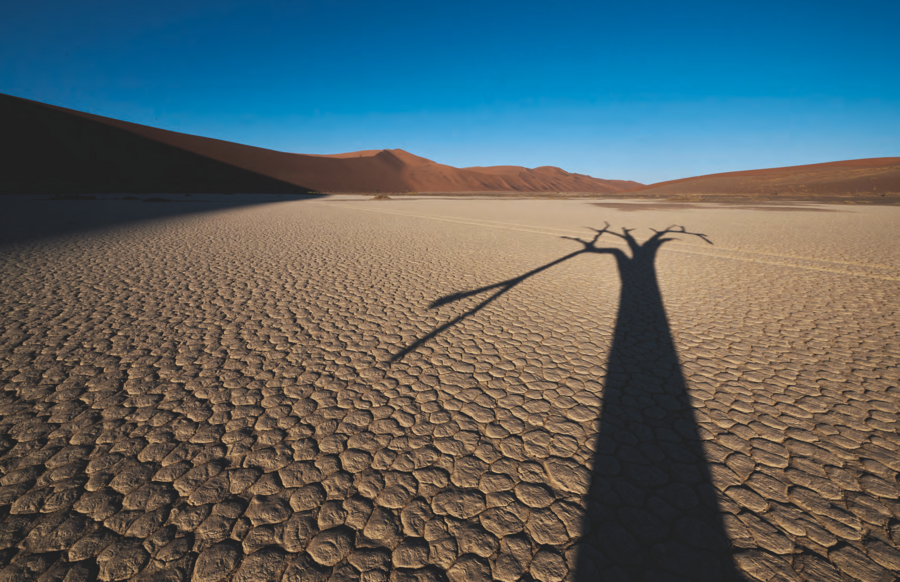 Le site de Dead Vlei, dans le désert du Namib, en Namibie. Les arbres y sont morts, mais avec la sécheresse, ils ne se décomposent plus.ERIC LE GO/ONLYWORLD.NET