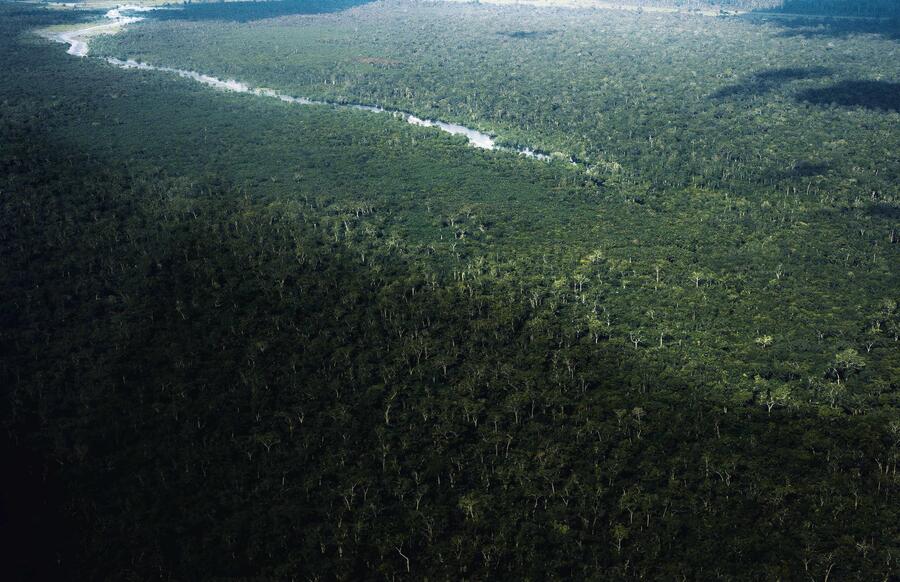 Dans les environs de Mbandaka, en République démocratique du Congo. NANNA HEITMANN/NYT/REDUX-REA