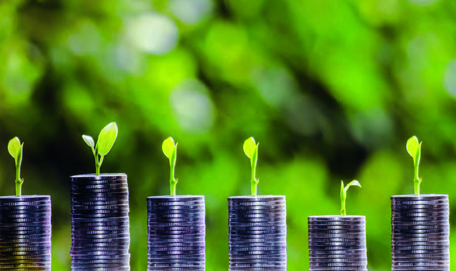 Ces instruments financiers sont exclusivement destinés à soutenir la transition écologique. SHUTTERSTOCK