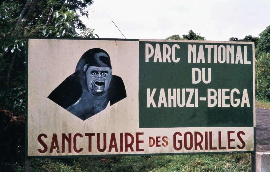 Le Kahuzi-Biega est l’une des plus belles aires protégées du pays, mais il attire les convoitises en raison de son sous-sol très riche.ALAMY PHOTO