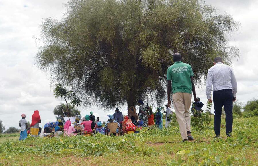 Focus group avec le collectif féminin dans la région de Mbaye Awa sur le tracé de la Grande Muraille verte, au Sénégal.OCP
