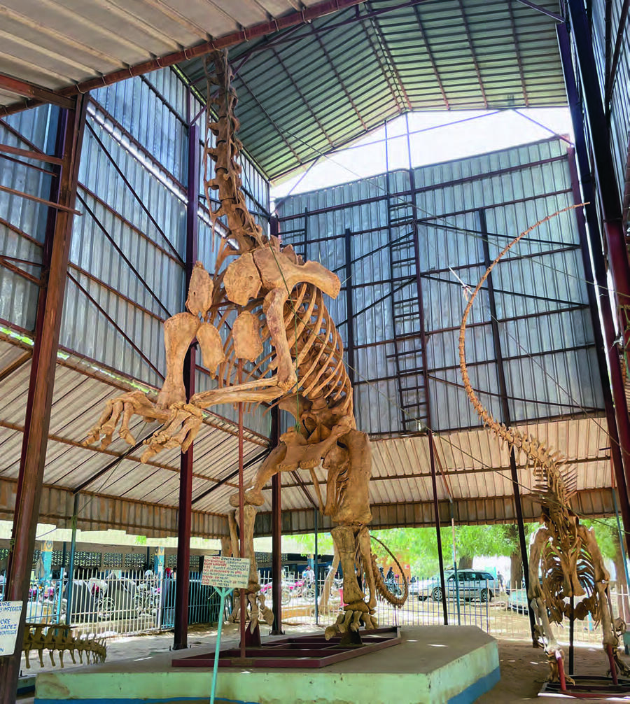 Au musée national Boubou-Hama, de nombreux squelettes issus de fouilles locales sont exposés. Ici, celui de Jobaria tiguidensis, l’une des espèces découvertes par le paléontologue américain Paul Sereno dans les années 1990.ZYAD LIMAM