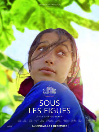 Sous les figues est sorti dans les salles françaises le 7 décembre. DR