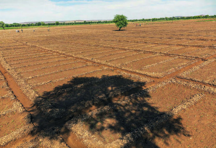 L’agriculture, l’eau et le changement climatique sont des domaines prioritaires.SVEN TORFINN/PANOS-REA