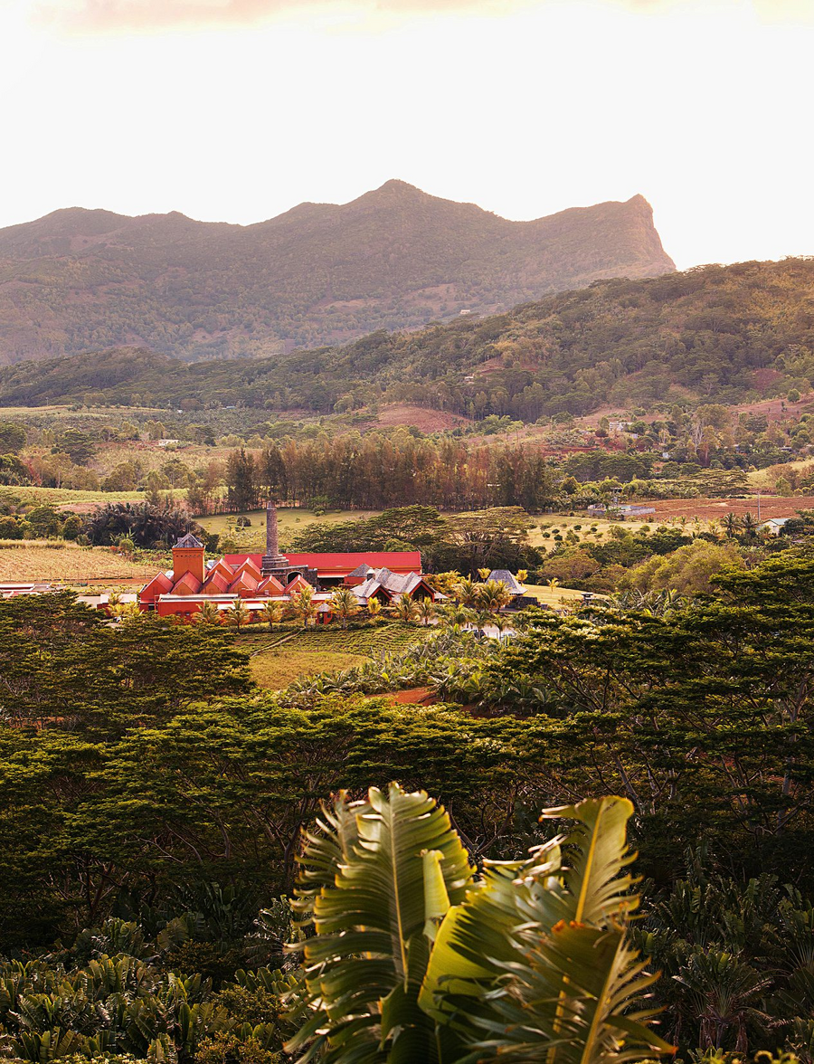La Rhumerie de Chamarel.ALAMY