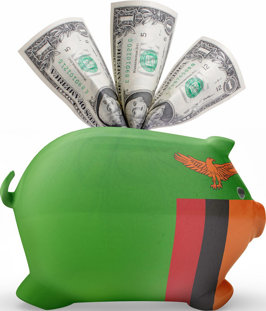 La jurisprudence Zambie.SHUTTERSTOCK