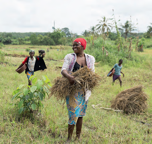 Le FAFCI intervient dans divers secteurs d’activité, comme l’agriculture. NABIL ZORKOT